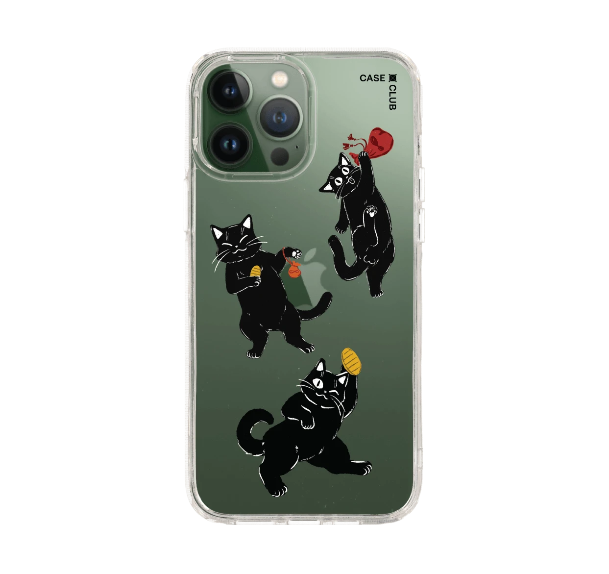 ชีวิตประจำวันของแมวดำ